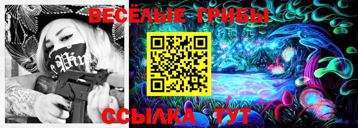 Галлюциногенные грибы прущие грибы  Вход с VPN  Красный Сулин 